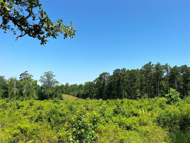 04 Carters Ferry Road, Milam, TX 75959