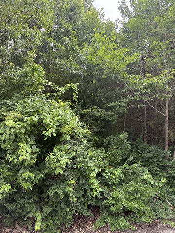 686 Putnam Dr, Nashville, TN 37218