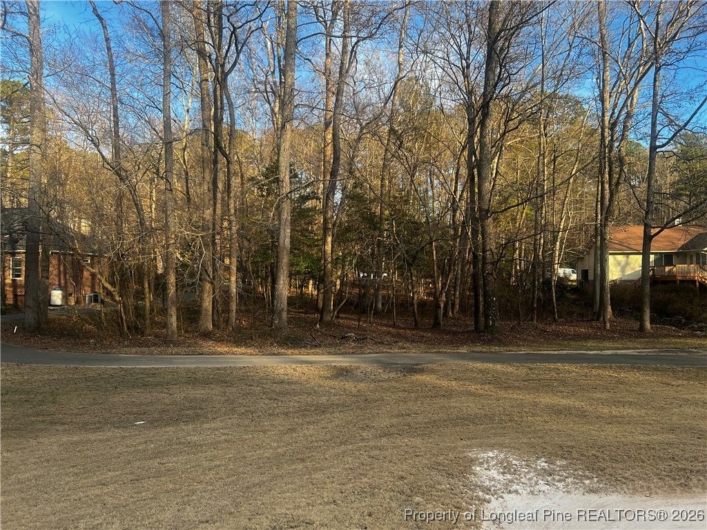 639 Chelsea Drive, Sanford, NC 27332 — photo 3
