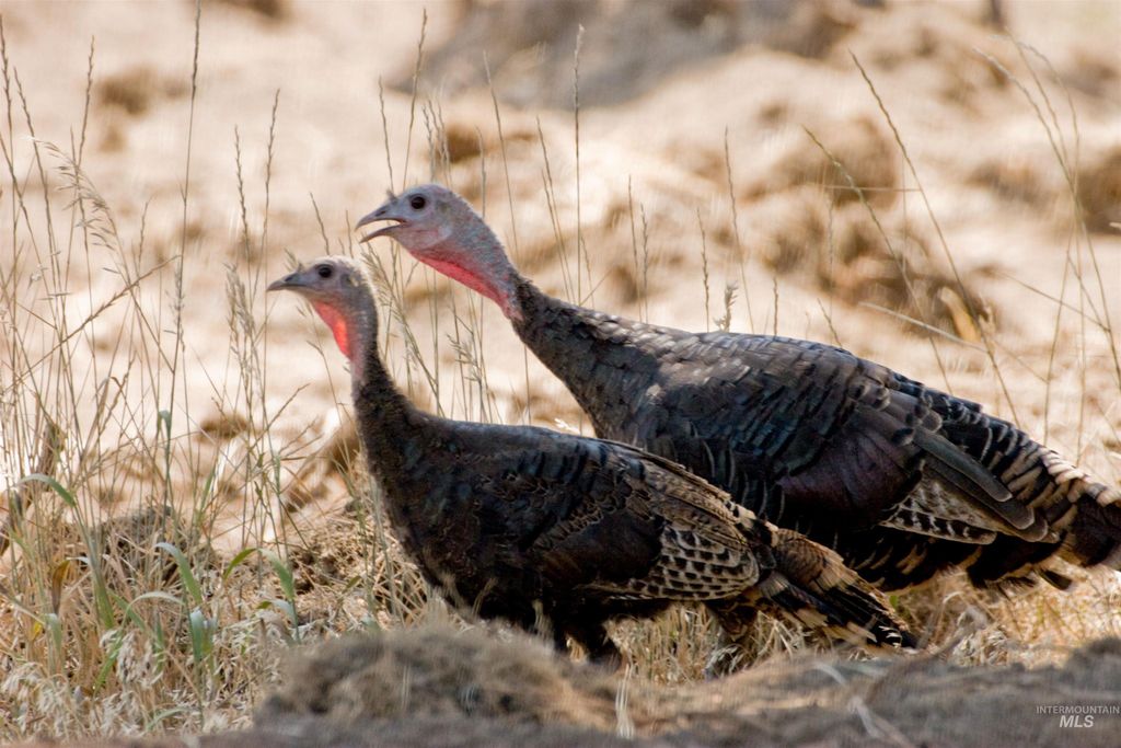 Blk 5 Lot 2 Cooski Springs, Garden Valley, ID 83622 photo 46