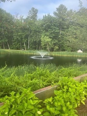 30 Scotty Hollow Dr D, Chelmsford, MA 01824