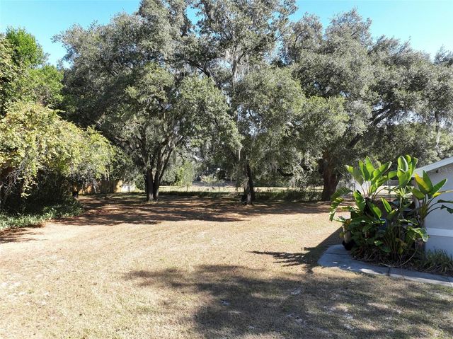 12005 DEERFOOT PLACE, Thonotosassa, FL 33592