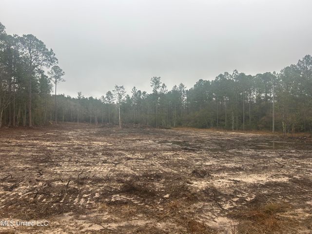 7105 Crazy Horse Drive, Kiln, MS 39556