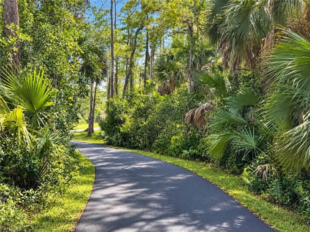 2982 2nd ST NE, NAPLES, FL 34120 — photo 3