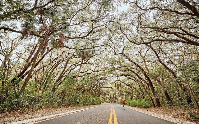 288 SALEM STREET, Safety Harbor, FL 34695