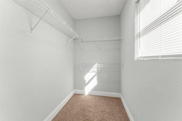 1601 CONNECTICUT AVENUE, St Cloud, FL 34769