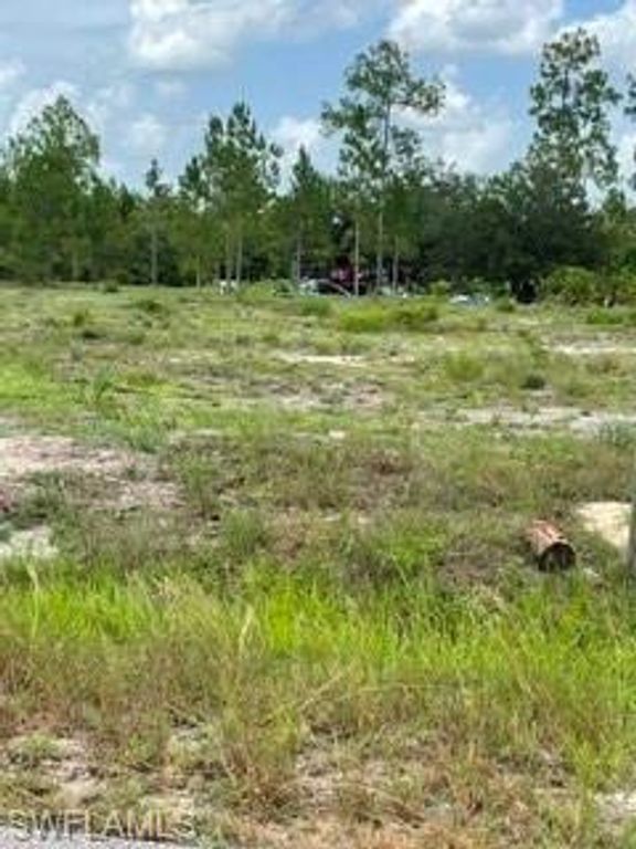 1216 Maple AVE N, LEHIGH ACRES, FL 33972 — photo 3