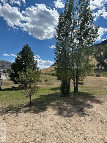 117 Sage Hen Rd, Salmon, ID 83467