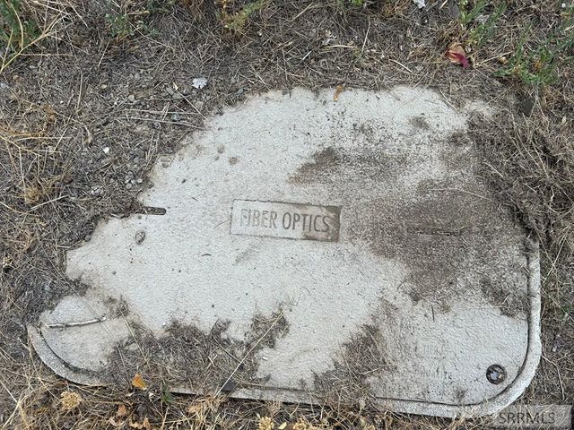 117 Sage Hen Rd, Salmon, ID 83467