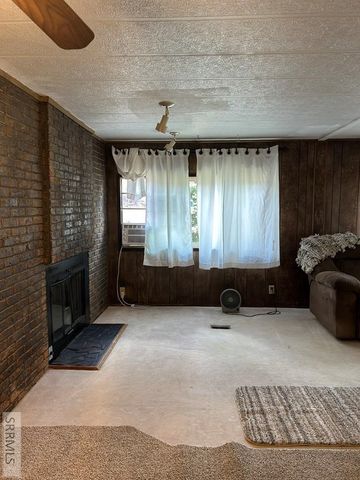 117 Sage Hen Rd, Salmon, ID 83467