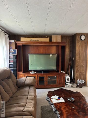 117 Sage Hen Rd, Salmon, ID 83467