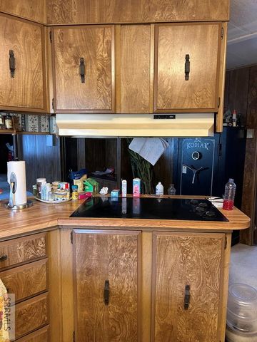 117 Sage Hen Rd, Salmon, ID 83467