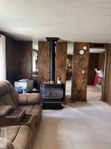 117 Sage Hen Rd, Salmon, ID 83467