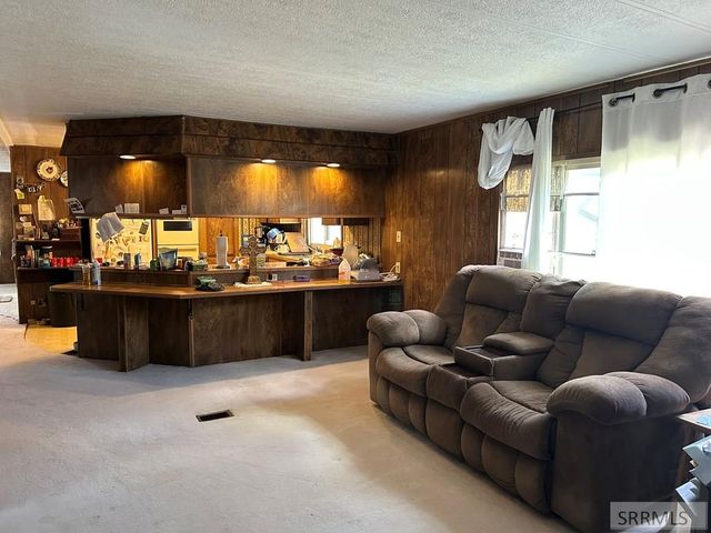 117 Sage Hen Rd, Salmon, ID 83467