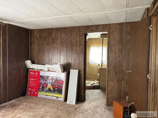 117 Sage Hen Rd, Salmon, ID 83467