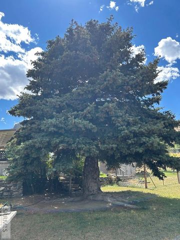 117 Sage Hen Rd, Salmon, ID 83467