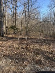 0 Bucksnort Dr, Ashland City, TN 37015