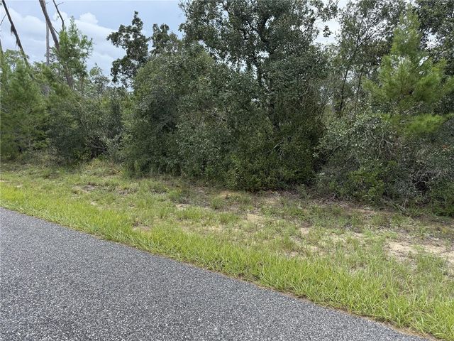 4282 W THRUSH DRIVE, Citrus Springs, FL 34433