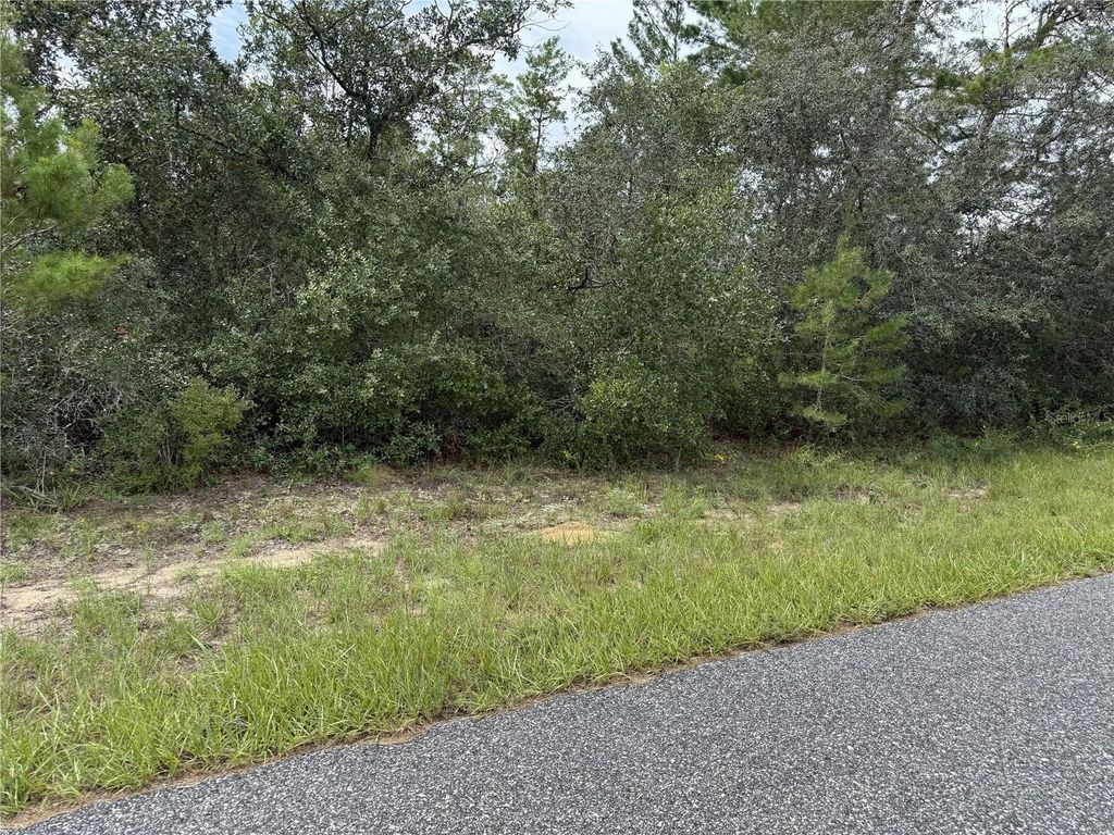 4282 W THRUSH DRIVE, Citrus Springs, FL 34433