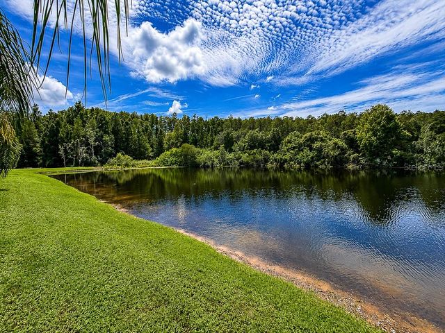 1637 ABYSS DRIVE, Odessa, FL 33556