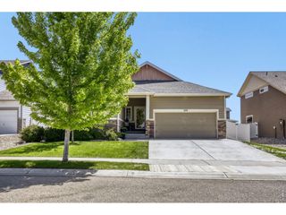 374 Mt Bross Ave, Severance, CO 80550