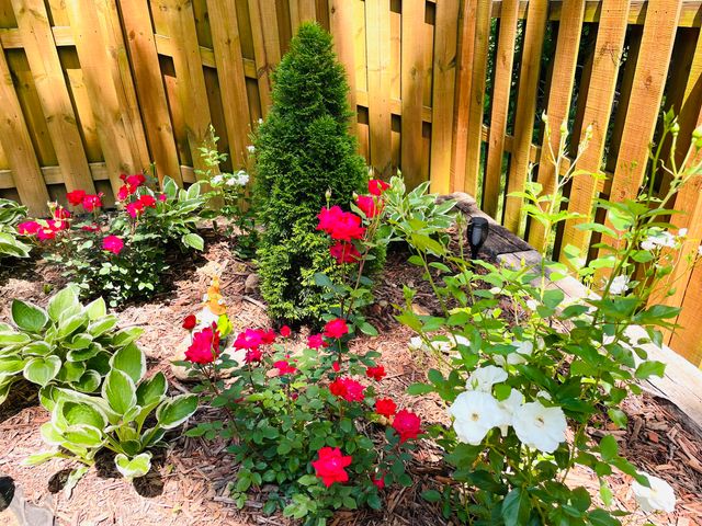 5350 S Tujunga Street, Springfield, MO 65810