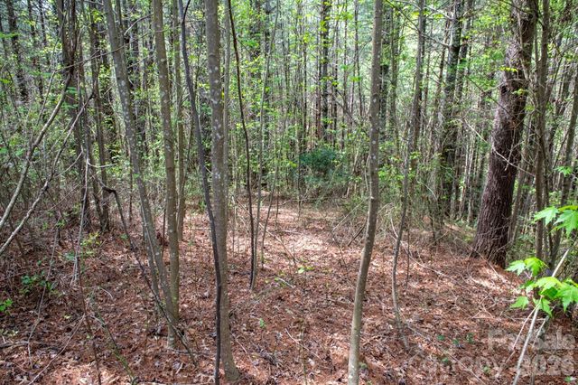 000 Collette Ridge Circle 168, Collettsville, NC 28611