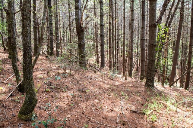000 Collette Ridge Circle 168, Collettsville, NC 28611