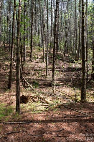 000 Collette Ridge Circle 168, Collettsville, NC 28611