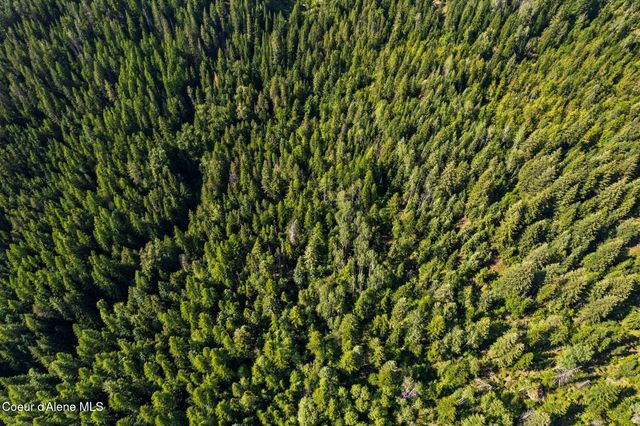 NKA Raven Ridge, Sandpoint, ID 83864