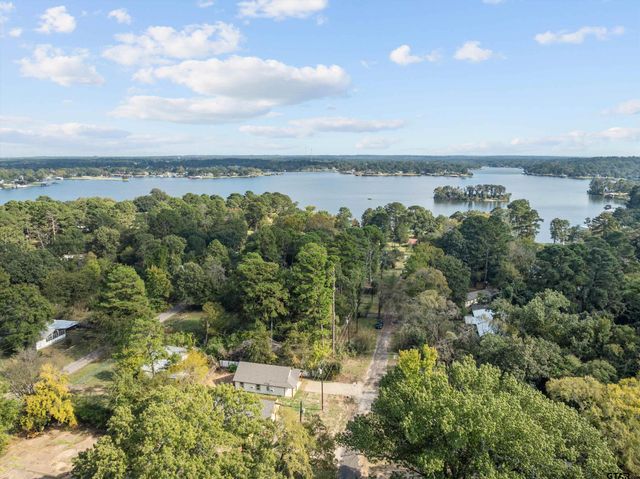 22463 Trailwood Rd, Flint, TX 75762