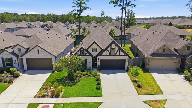 15810 Bird Of Paradise Drive, Conroe, TX 77302