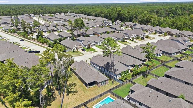 15810 Bird Of Paradise Drive, Conroe, TX 77302