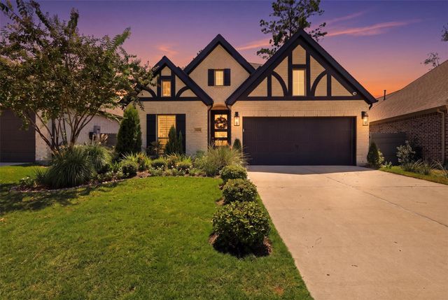 15810 Bird Of Paradise Drive, Conroe, TX 77302