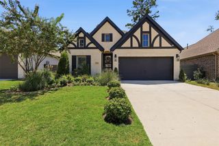 15810 Bird Of Paradise Drive, Conroe, TX 77302
