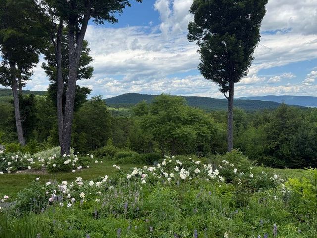 816 Black Bear Road, Jamaica, VT 05343