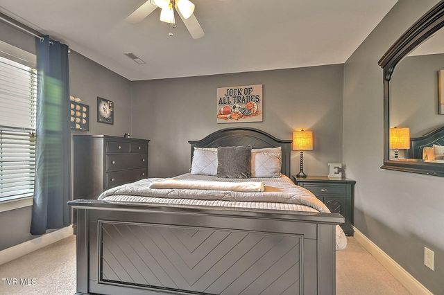 218 Cedar Creek Road 2, Gray, TN 37615