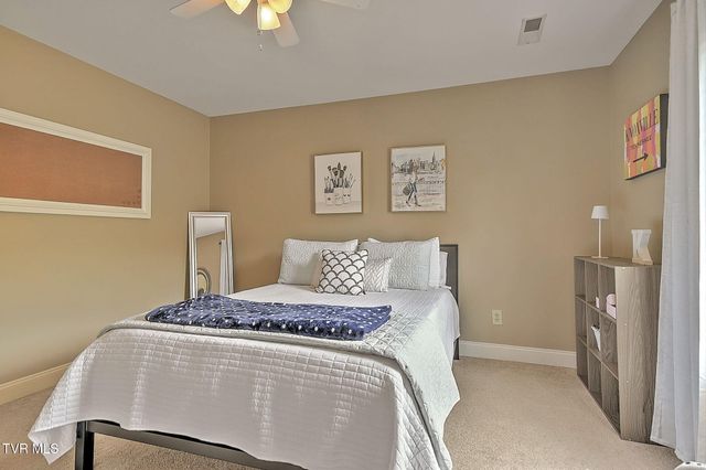 218 Cedar Creek Road 2, Gray, TN 37615