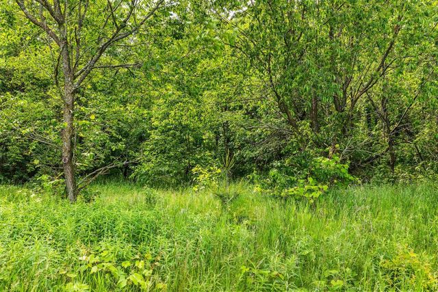 Lot 18 CHOKECHERRY LANE, Amherst, WI 54406