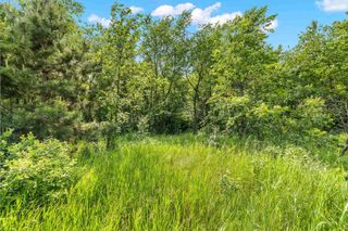 Lot 18 CHOKECHERRY LANE, Amherst, WI 54406