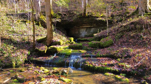 0 Hollis Creek Rd S, Woodbury, TN 37190