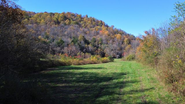 0 Hollis Creek Rd S, Woodbury, TN 37190