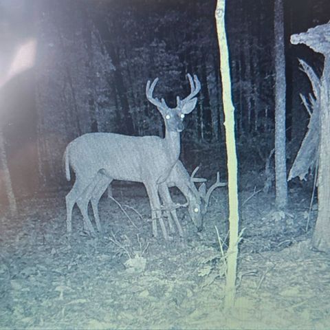 0 Hollis Creek Rd S, Woodbury, TN 37190