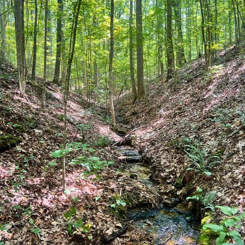 0 Hollis Creek Rd S, Woodbury, TN 37190