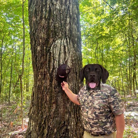 0 Hollis Creek Rd S, Woodbury, TN 37190