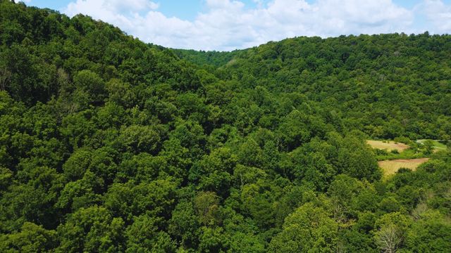 0 Hollis Creek Rd S, Woodbury, TN 37190