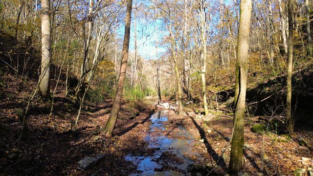0 Hollis Creek Rd S, Woodbury, TN 37190