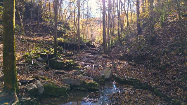 0 Hollis Creek Rd S, Woodbury, TN 37190