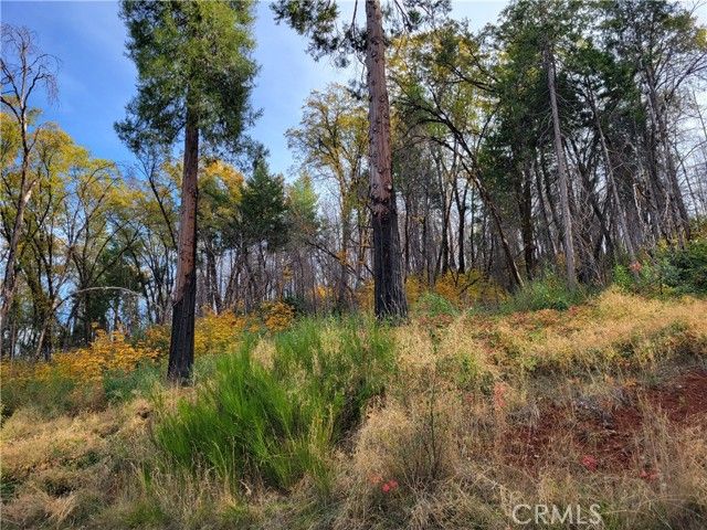 300 Bald Rock Road, Berry Creek, CA 95916