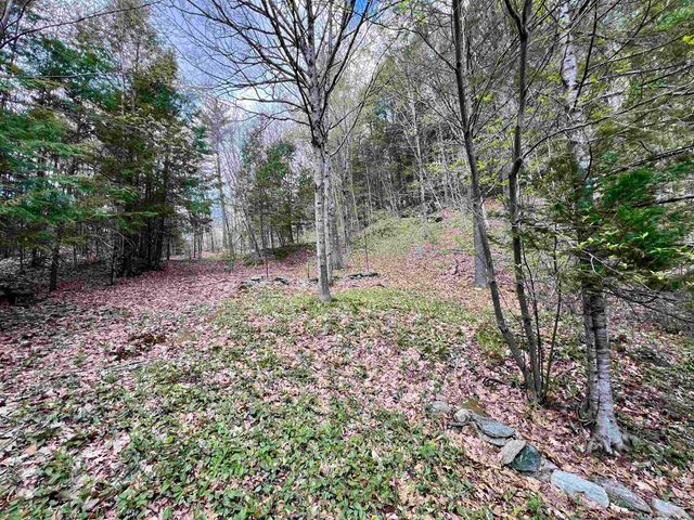 5494 VT Route 30, Townshend, VT 05353